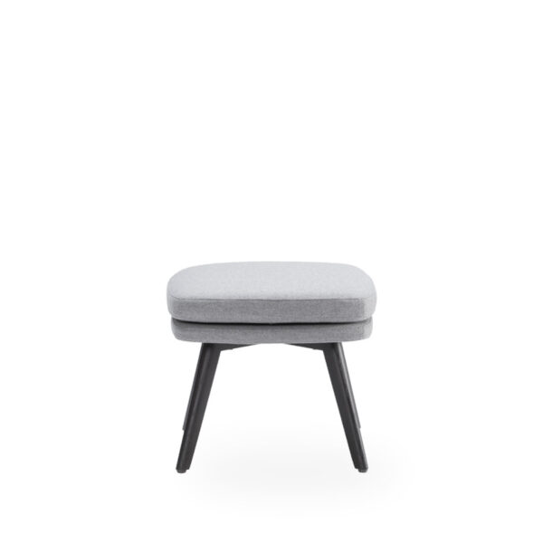 Hocker Mod. CLEO